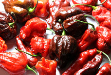 These Guys Are Trying to Eat More Carolina Reapers Than Anyone in the World