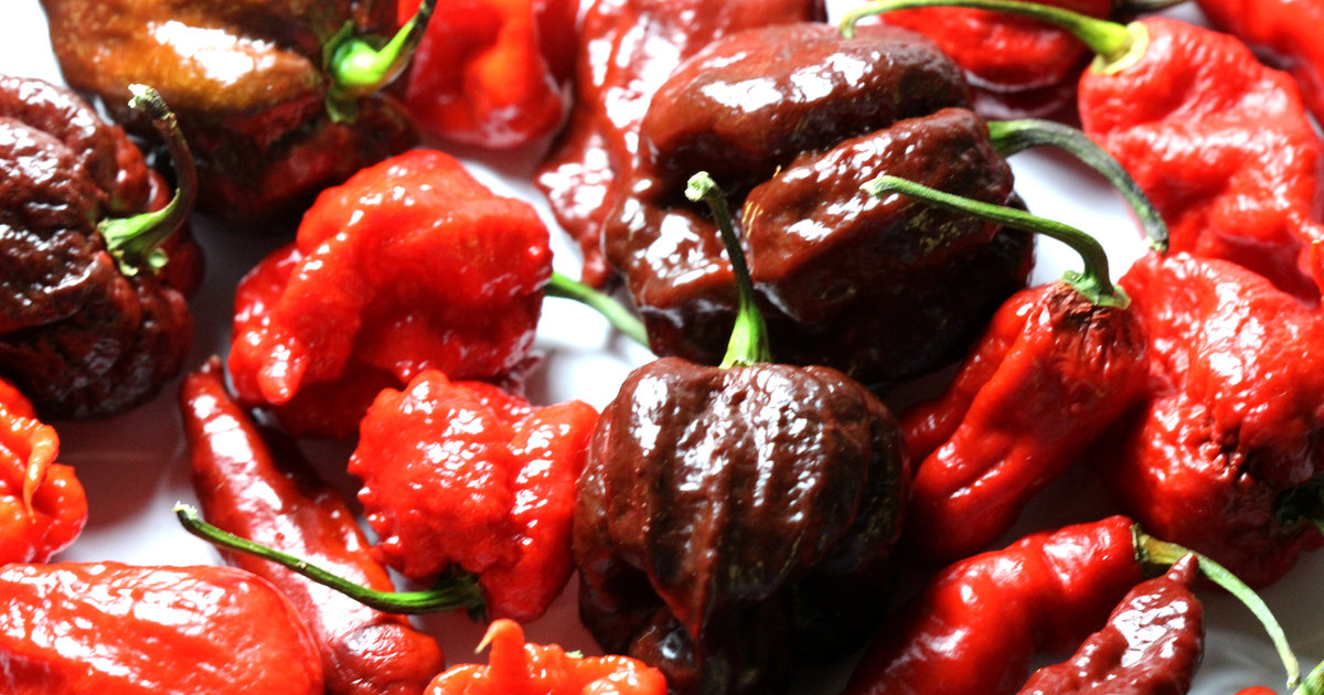 Carolina Reaper Pepper Eating Contest NYC Hot Sauce Expo Brings the