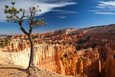 Bryce Canyon National Park, Utah