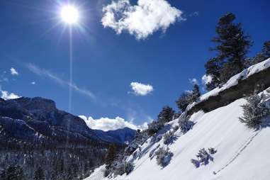 mount charleston