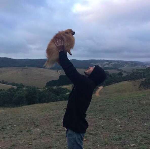 Australian guy wants to rescue all the dogs