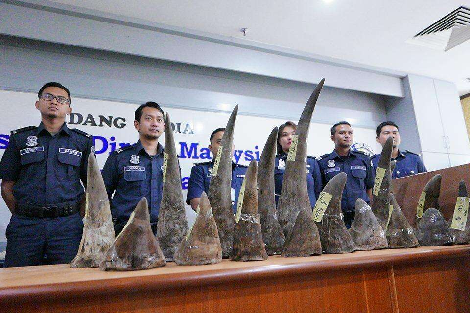 18 rhino horns that were seized in Malaysia