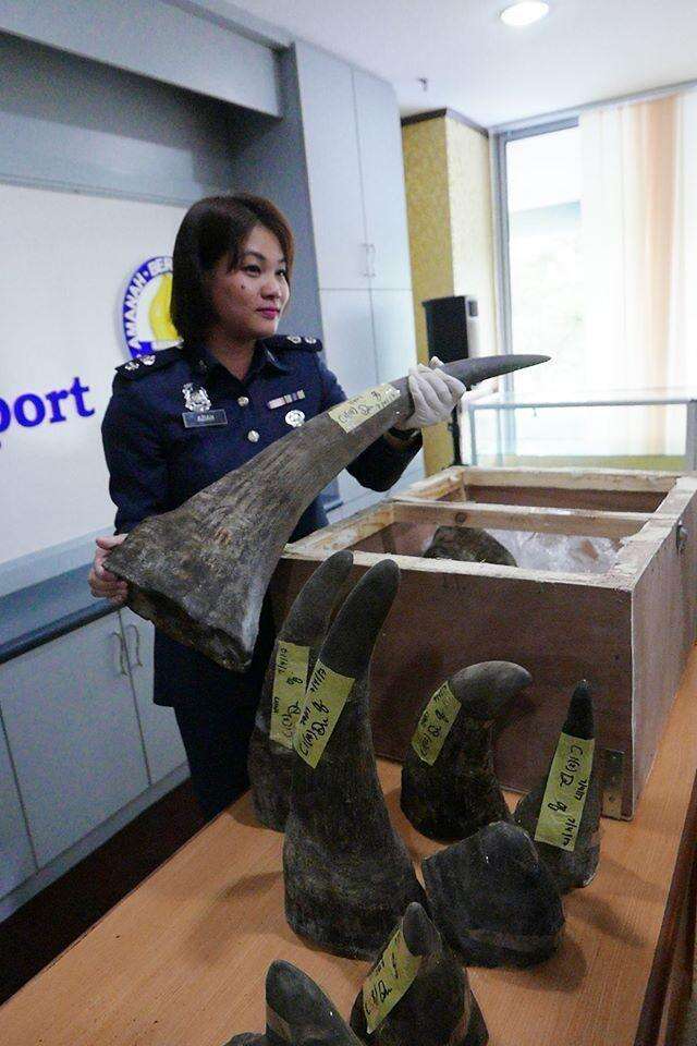 18 rhino horns that were seized in Malaysia