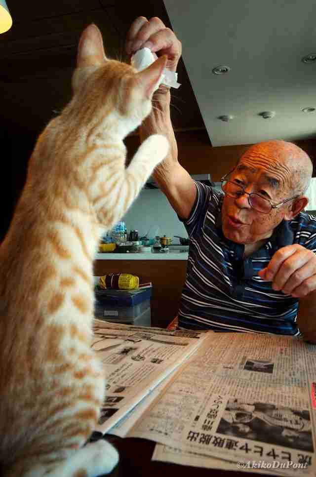 Photos Capture The Special Bond Between A Grandpa And His Cat The Dodo 
