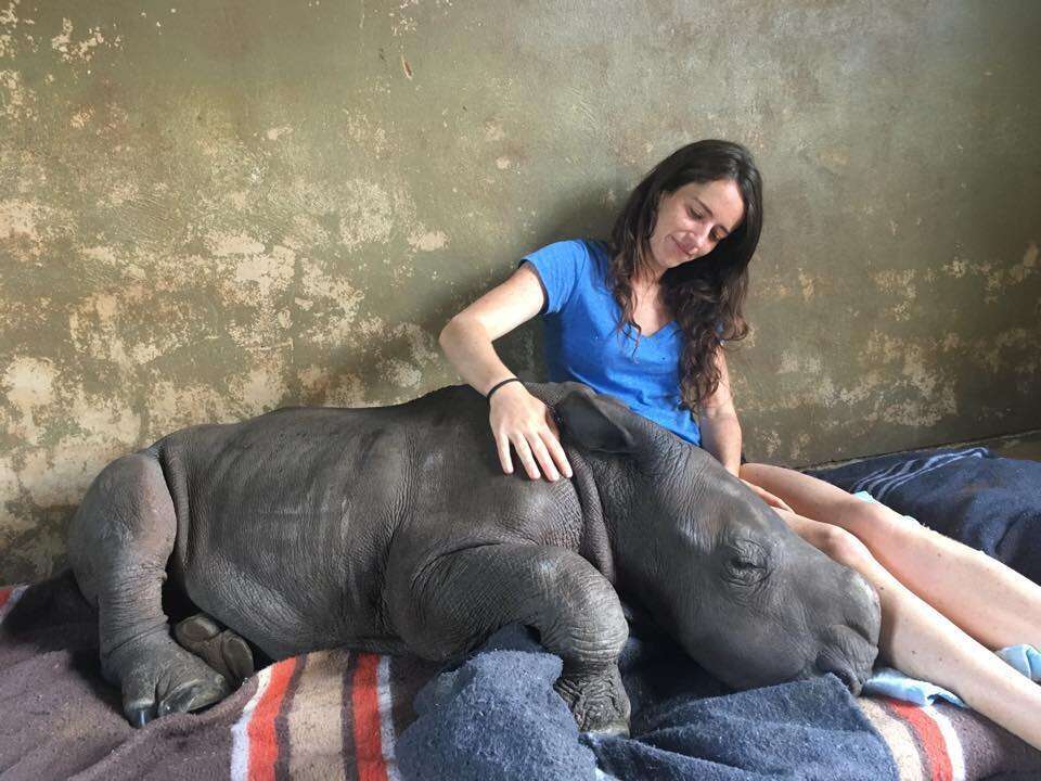 A baby rhino orphan who lost her mom to poaching