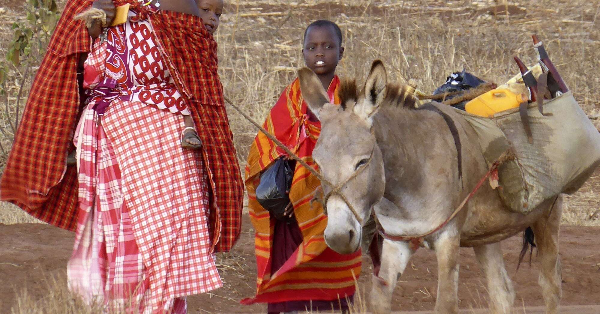 tanzania family and donkey