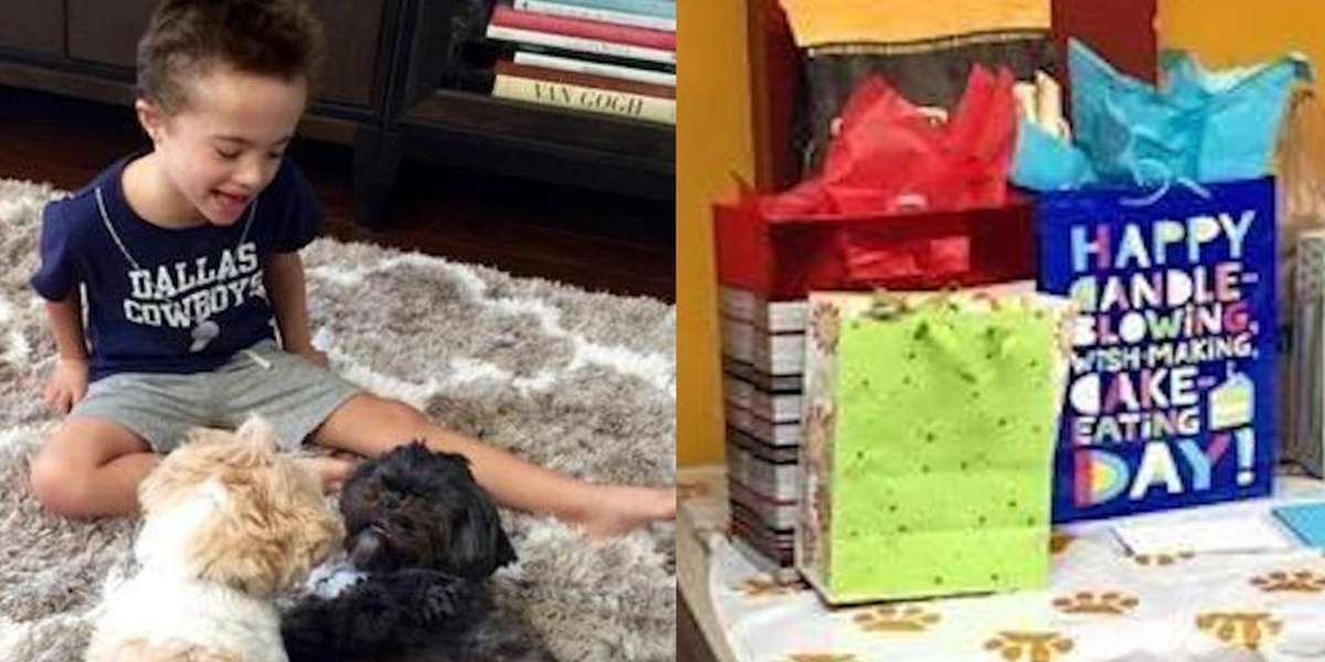Boy With Special Needs Wants Dog Presents For His Birthday - The Dodo