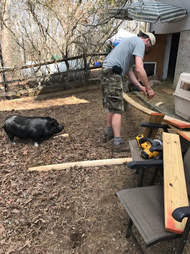 Rescued potbellied pig with her favorite person at Blind Spot Animal Sanctuary