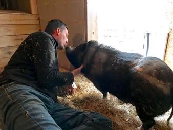 Rescued potbellied pig with her favorite person at Blind Spot Animal Sanctuary