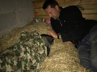 Rescued potbellied pig with her favorite person at Blind Spot Animal Sanctuary