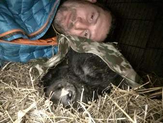 Rescued potbellied pig with her favorite person at Blind Spot Animal Sanctuary