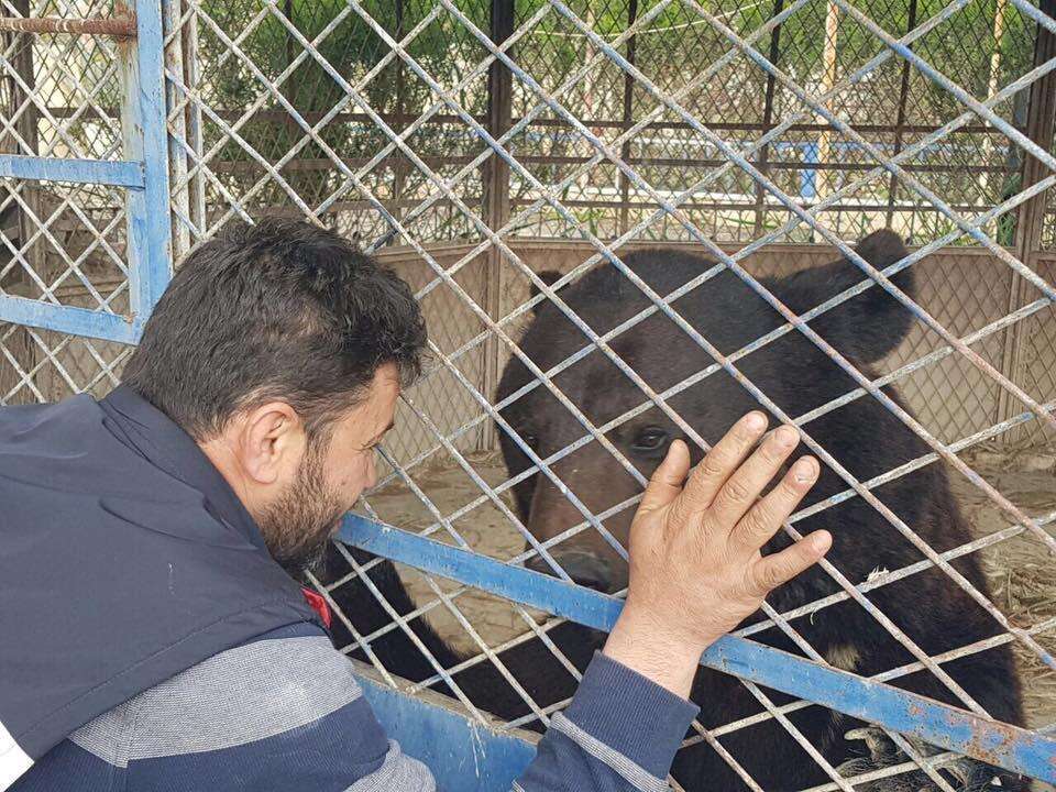 'Cat man' of Aleppo visits starving bear in zoo