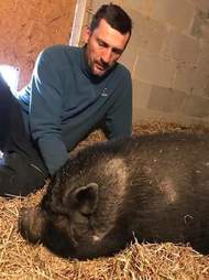 Rescued potbellied pig with her favorite person at Blind Spot Animal Sanctuary