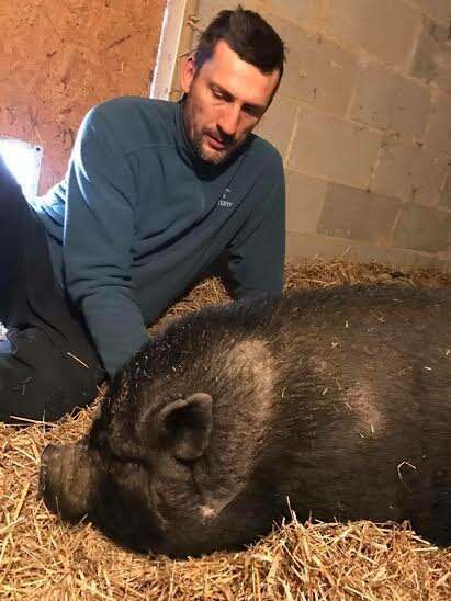 Rescued potbellied pig with her favorite person at Blind Spot Animal Sanctuary