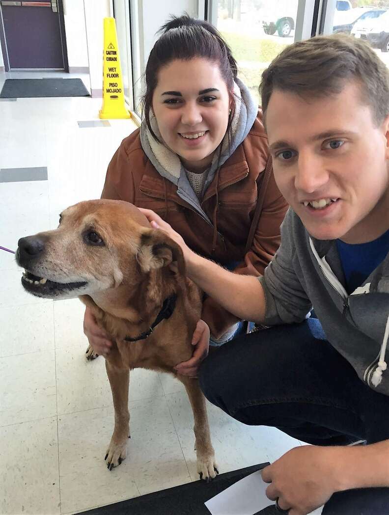 17-year-old dog getting adopted from shelter