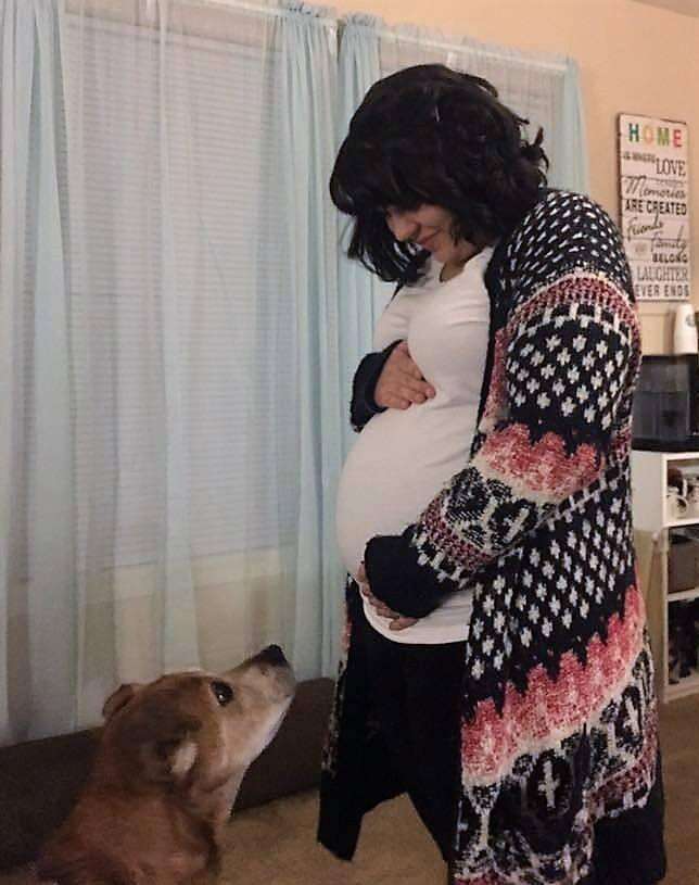 Senior shelter dog with his pregnant owner