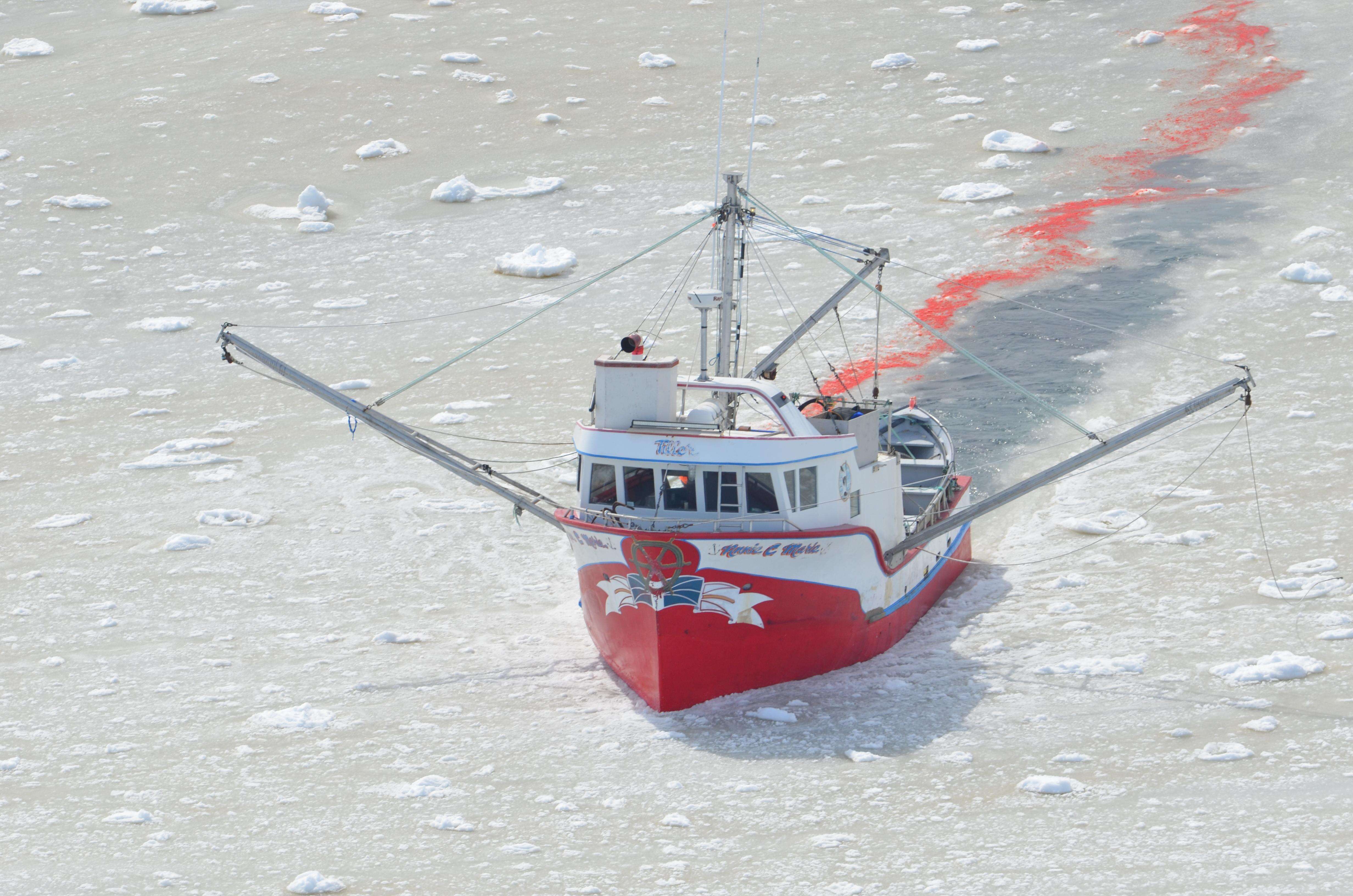 A Canadian sealing vessel 