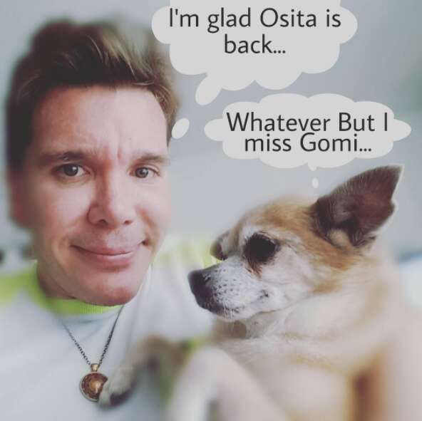 lost dog finds dad through instagram