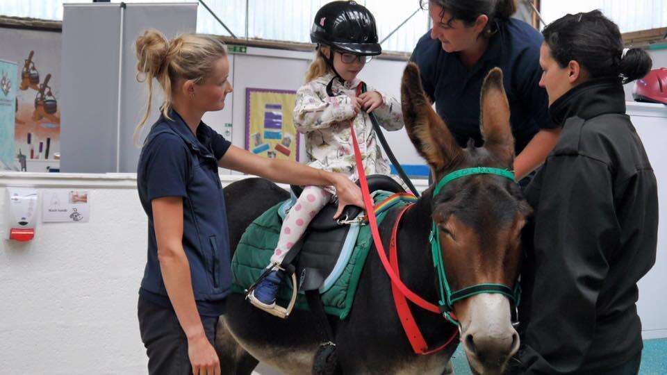 Girl riding therapy donkey at The Donkey Sanctuary in Birmingham