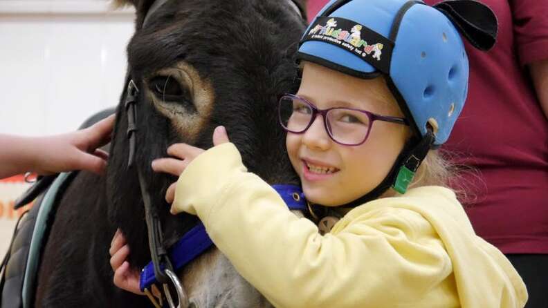 Girl hugging therapy donkey at The Donkey Sanctuary in Birmingham