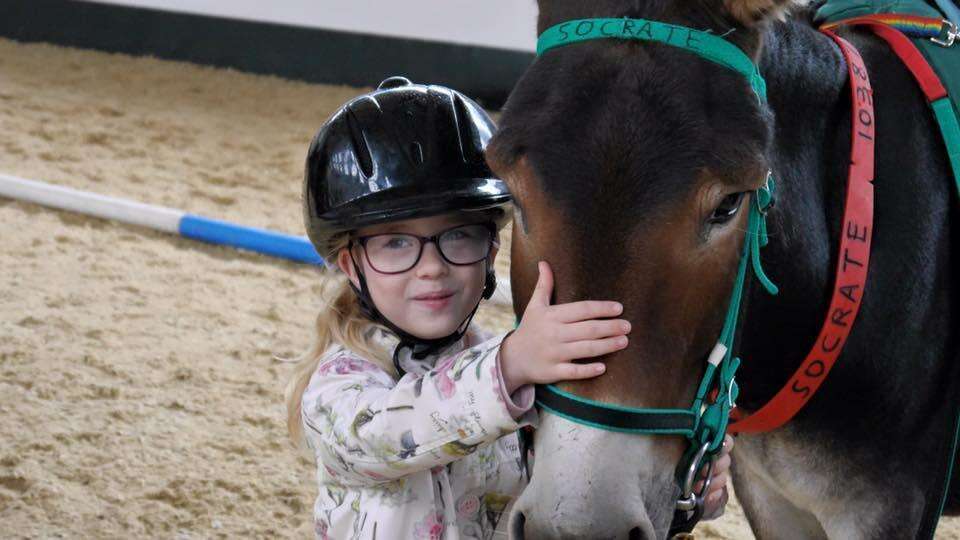 Special needs child and rescued therapy donkey