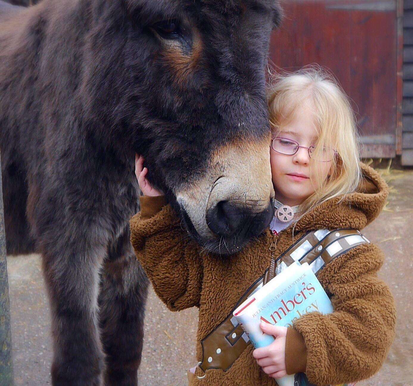 Therapy donkey and his favorite girl