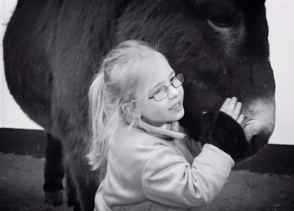 Therapy donkey and his favorite girl