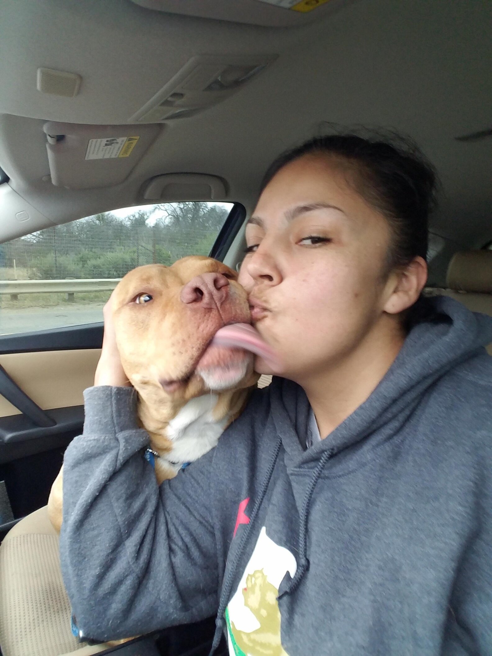Lost Dog Stuck On Debris In River - The Dodo
