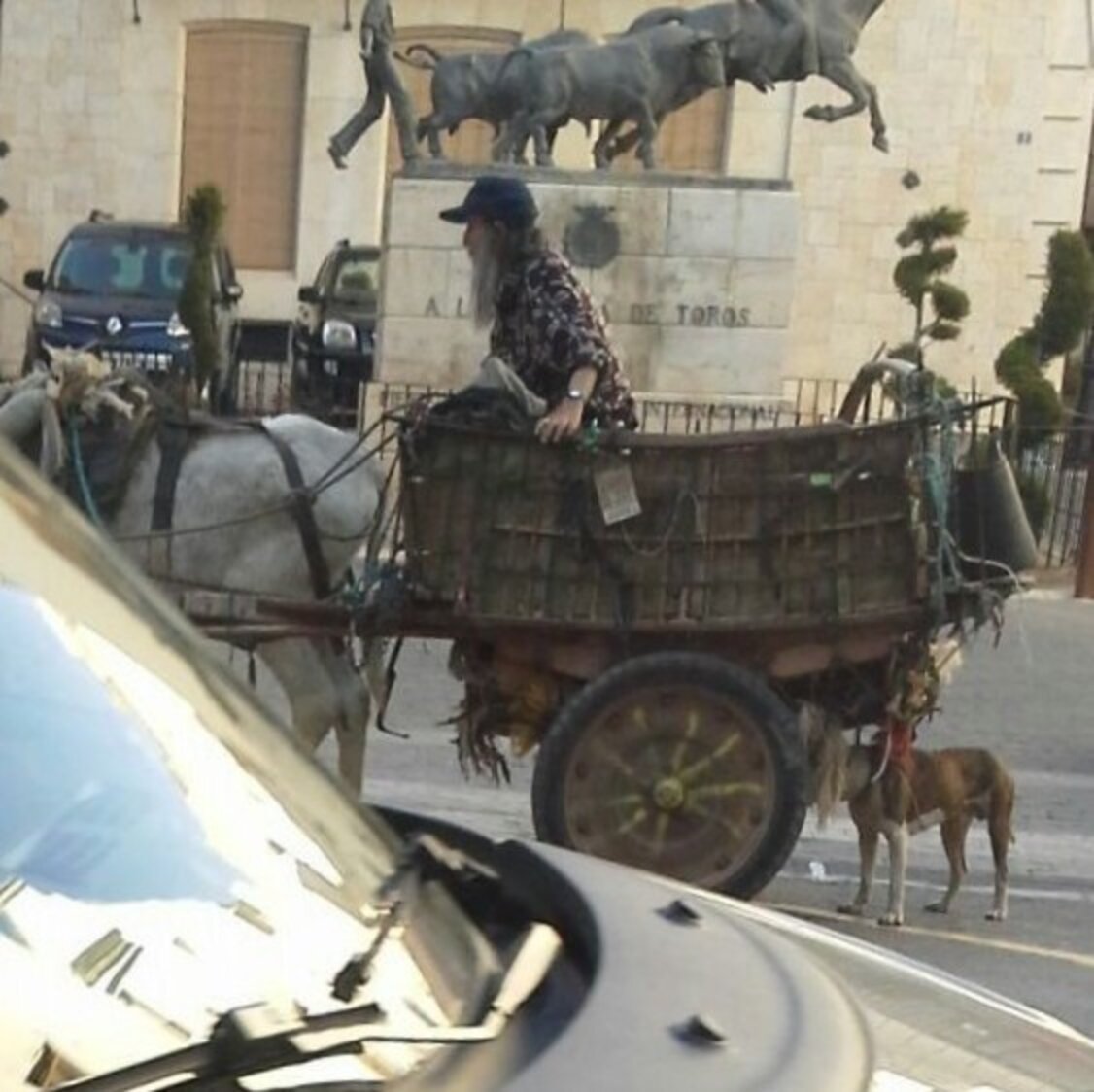 Donkey Seized From Owner After Collapse In Spanish Village - The Dodo