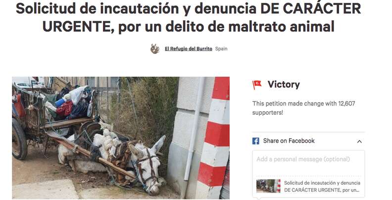 Petition that helped save neglected donkey