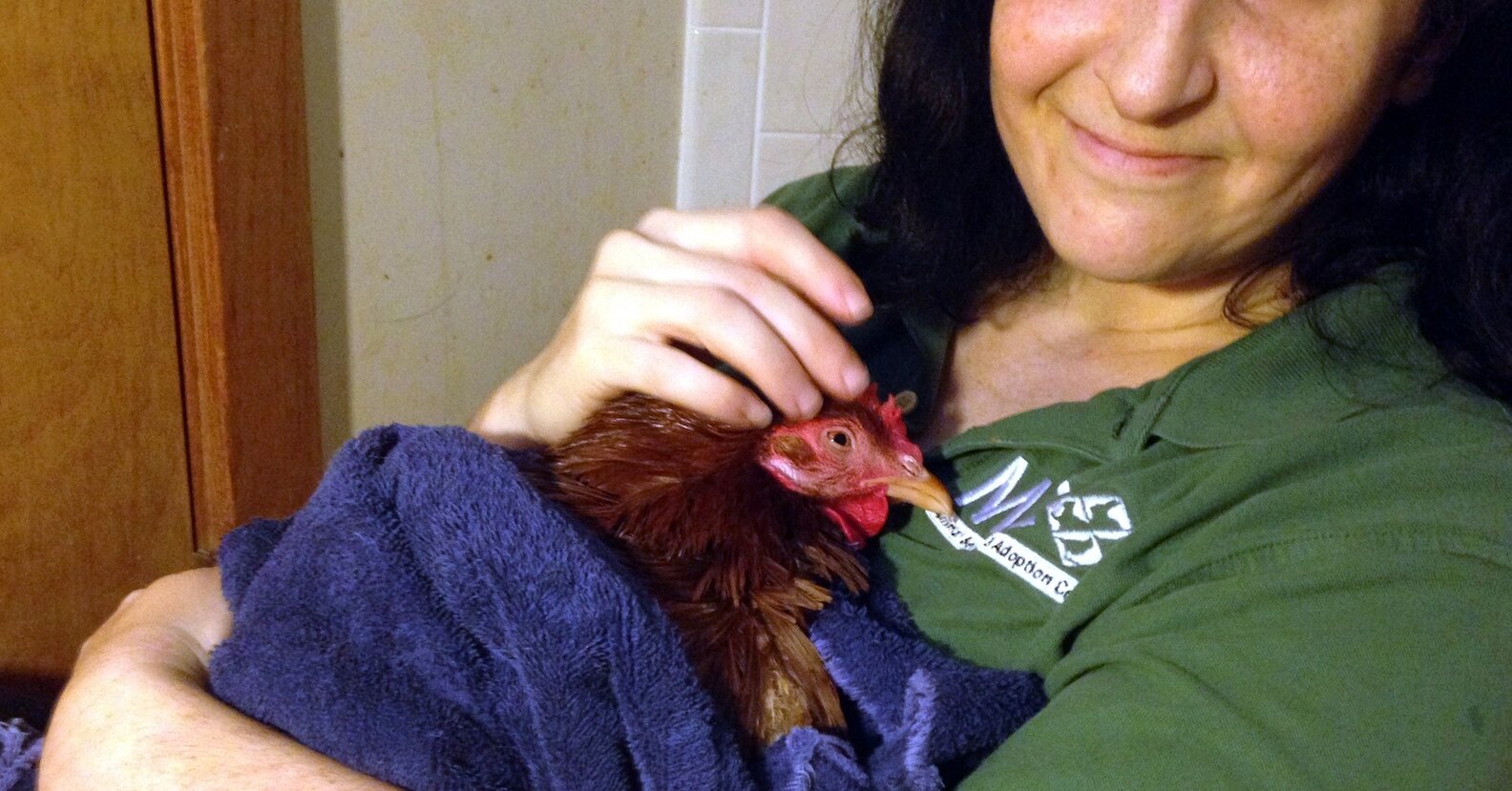 Snuggly Rescue Chicken Loves Bubble Baths - The Dodo