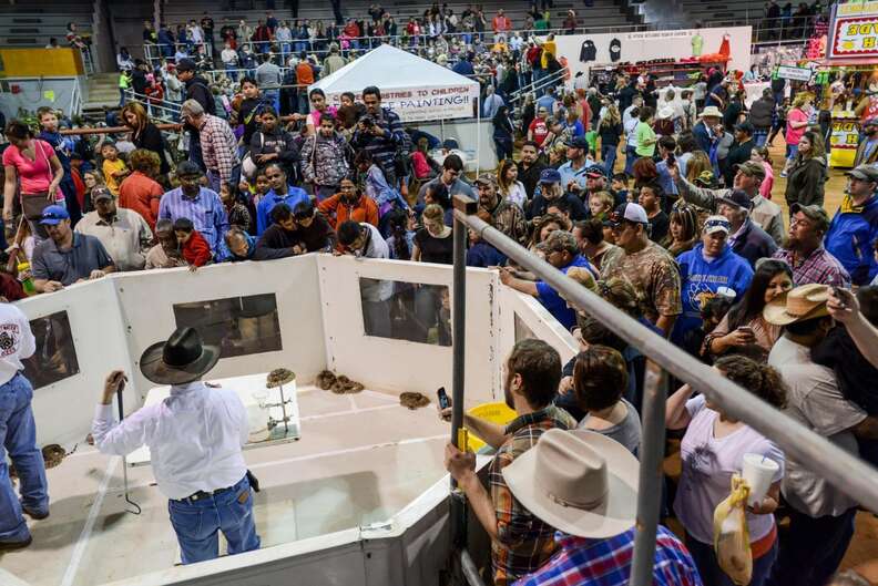 The Sweetwater rattlesnake roundup festival