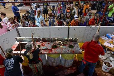 A snake skinning area at the Sweetwater roundup festival