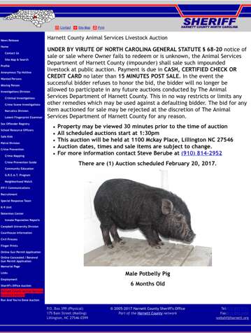 A potbellied pig up for auction at a county animal shelter