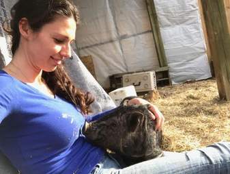 A rescued potbelly pig with her rescuer
