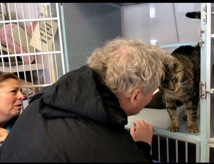 how to adopt a pet