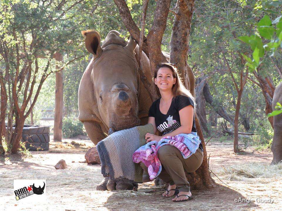A rhino orphan getting a blanket at an orphanage in South Africa