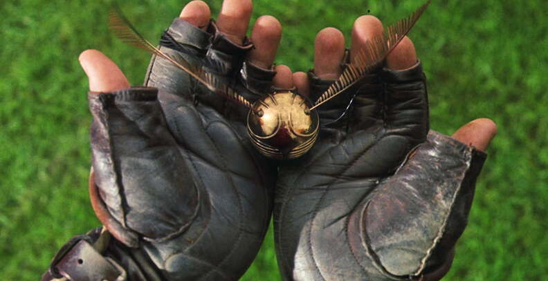 the golden snitch