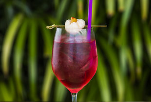 The Best Cocktail Bars in Miami