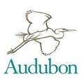 Photo of author Audubon Society