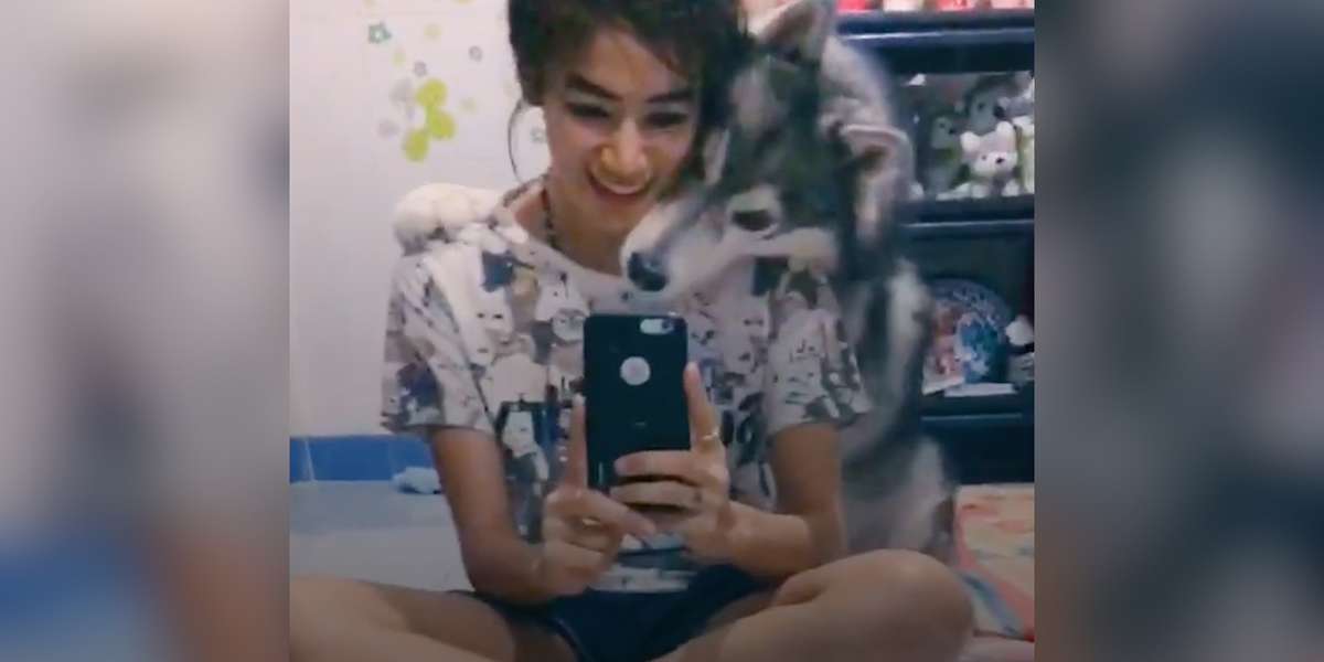 Dog Wants to be in Selfie The Dodo