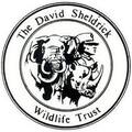 Photo of author David Sheldrick Wildlife Trust