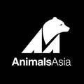 Photo of author Animals Asia