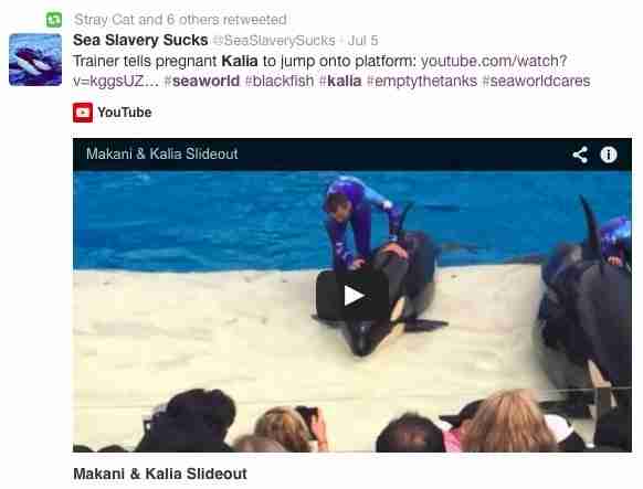 Watch Blackfish Youtube