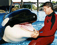 Mark Simmons interviewed in #Blackfish has a vested interest in