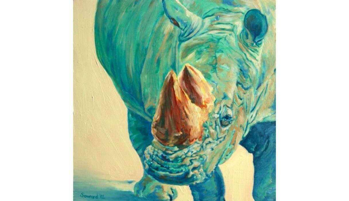 The Truth About Rhinos - The Dodo