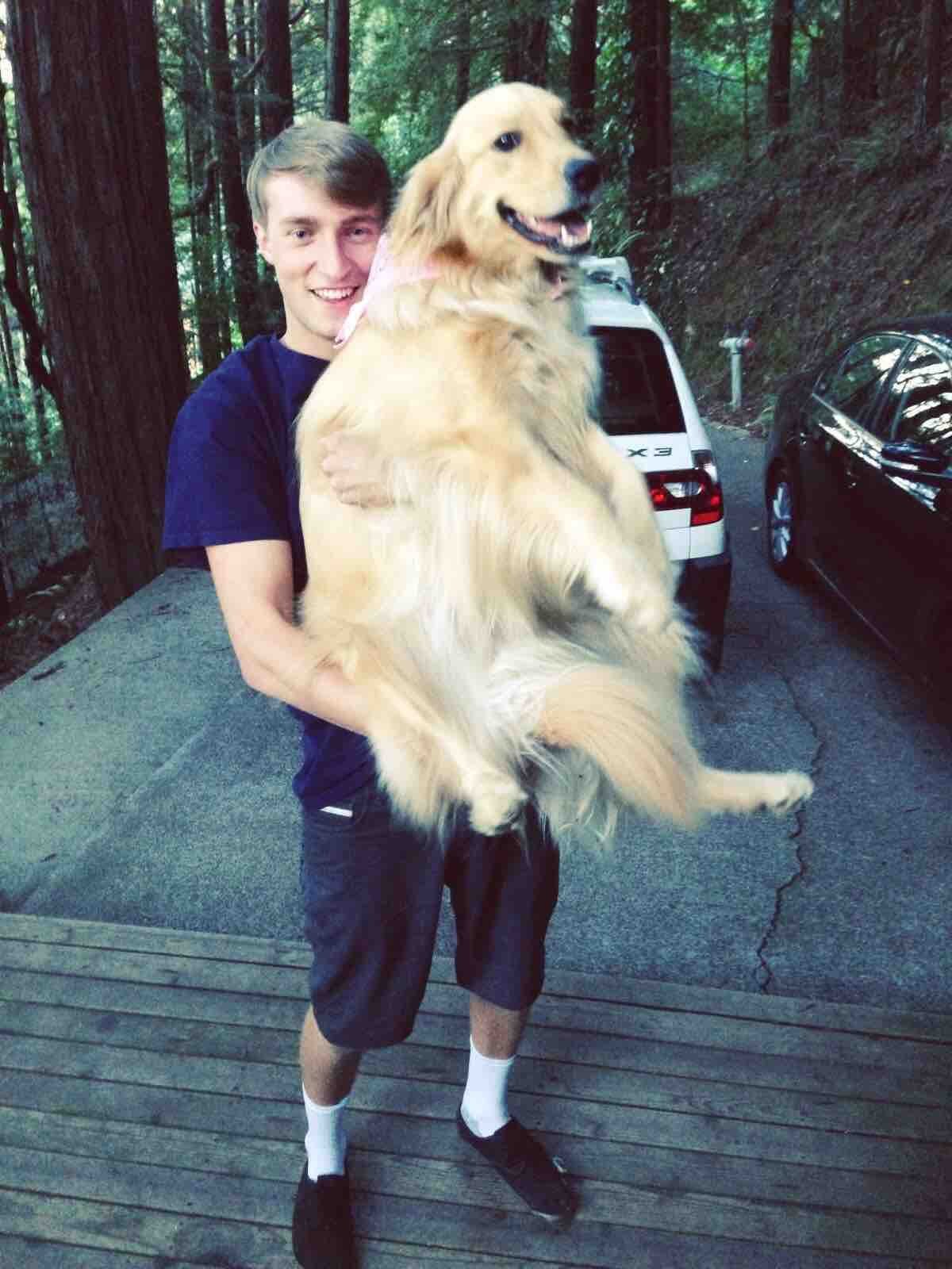 Do Puppies Like To Be Carried