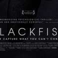 Blackfish: Blue Fish with One Wish