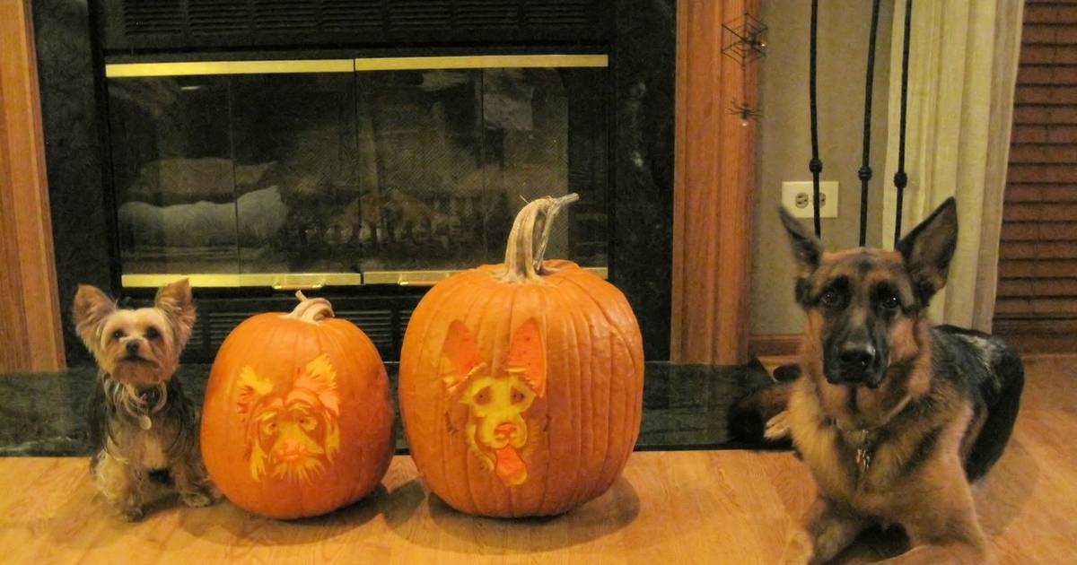 TikTok grandma shares pumpkin carving tips for Halloween