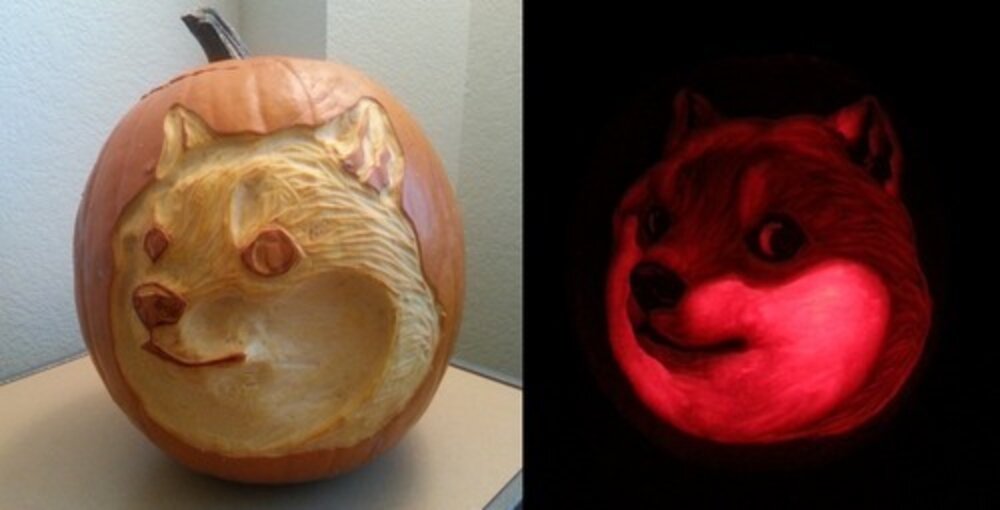 Move Over, Spooky Faces Animals Make The Best JackO’Lanterns The